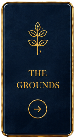 The Grounds
